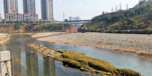 城市河畔风景