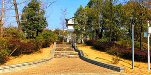 秋日山林中的石阶步道