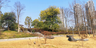 秋日郊野风景