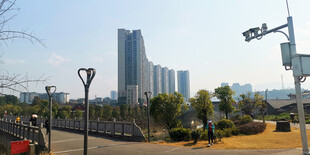 城市公园与远处高楼景观