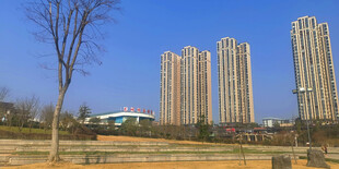 城市高楼景观