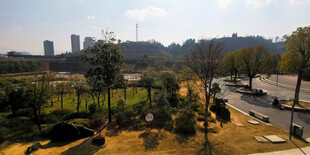 城市公园景观俯瞰