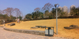 城市公园的开阔草地景观