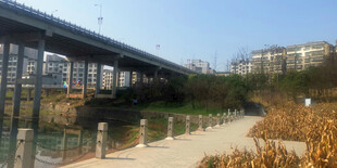 河畔桥梁旁的户外景致