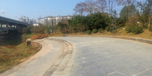 蜿蜒乡村公路风景