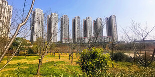 城市旁的绿地景观