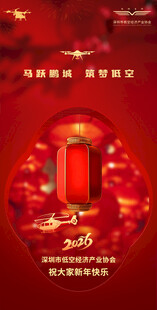 喜庆红灯笼 迎传统佳节