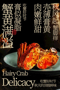 鲜美大闸蟹美食