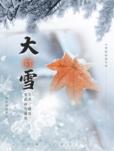 大雪海报