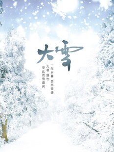大雪海报