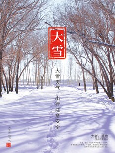 大雪海报