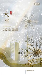 大雪海报