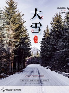 大雪海报