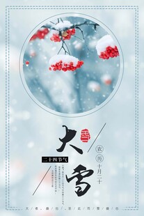 大雪海报
