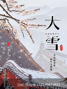 大雪海报