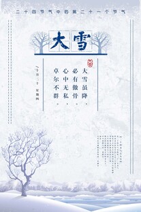 大雪海报