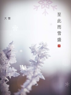 大雪海报