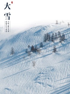 大雪海报