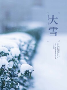 大雪海报
