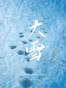 大雪海报