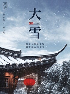 大雪海报