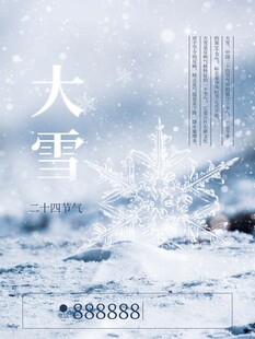大雪海报
