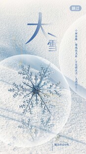 大雪海报