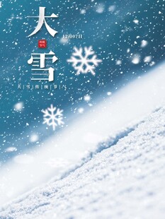 大雪海报