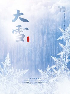 大雪海报
