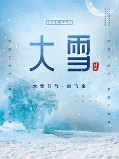 大雪海报