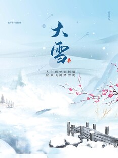 大雪海报