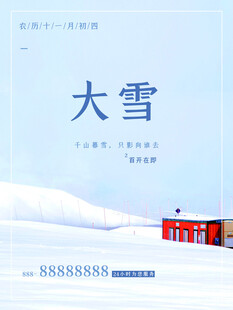大雪海报