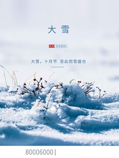 大雪海报