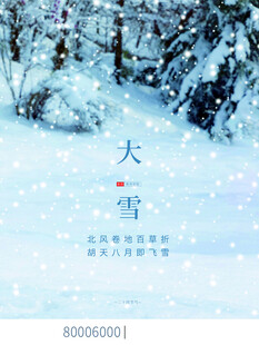 大雪海报