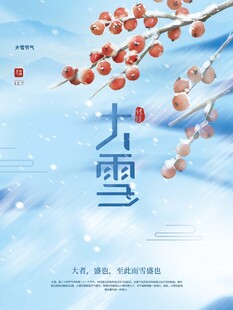 大雪海报
