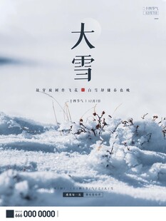大雪海报