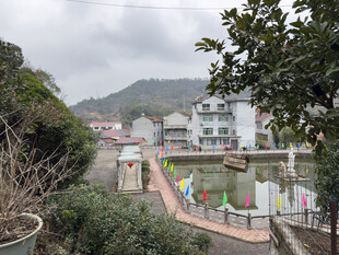 乡村湖畔多彩景致