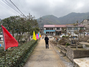 乡村小道插满彩旗的景象