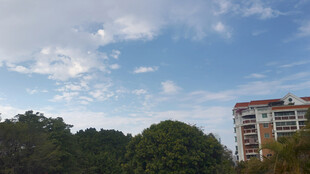 蓝天白云下的建筑与绿树