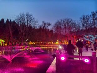 梦幻灯光下的绚丽桥景