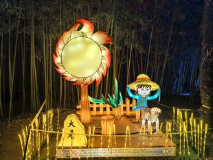 传统民俗灯会场景展示