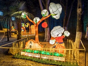 可爱卡通花灯展场景