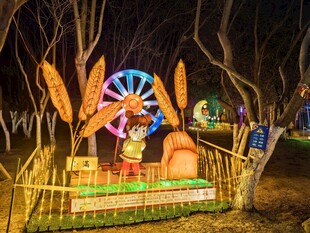 夜间公园绚丽彩灯景观