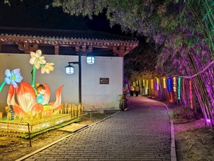 夜间绚丽墙绘景观