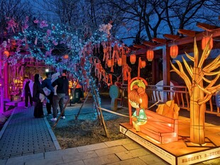 夜晚街头的多彩装饰景观