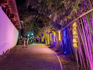 夜间彩色灯光装饰的小巷