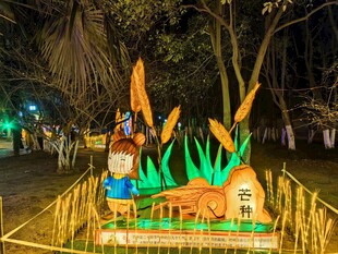夜间公园中的创意彩灯造型