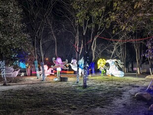 夜晚公园梦幻彩灯景观