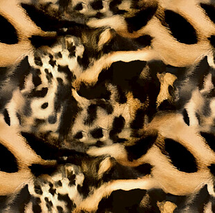 风格化的豹皮毛 豹纹图案