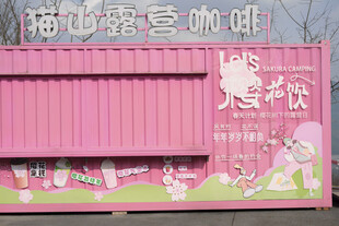 粉色墙面卡通装饰贴纸